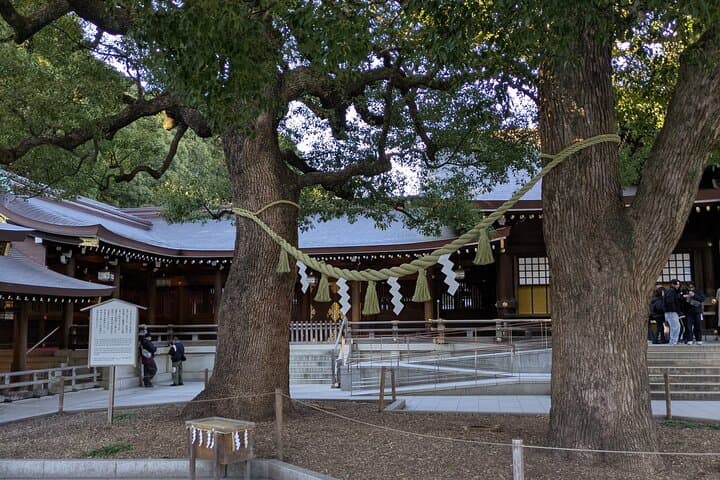 Meiji Jingu Shrine and Park Tour — photo 8