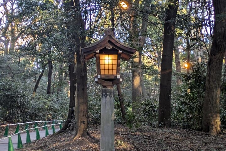 Meiji Jingu Shrine and Park Tour — photo 10