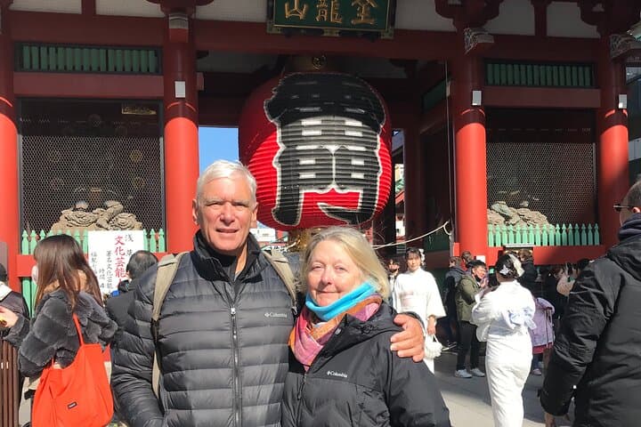 Tokyo Top 7 Sights Private Tour with Licensed Guide and Vehicle — photo 11