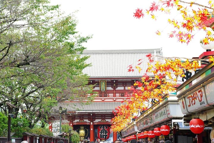 Tokyo Top 7 Sights Private Tour with Licensed Guide and Vehicle — photo 2
