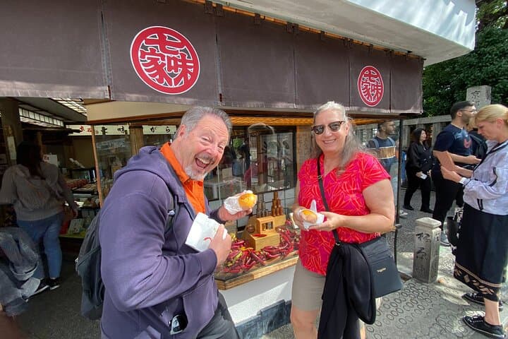 Kyoto Top 7 Sights Private Tour with Licensed Guide and Vehicle — photo 4