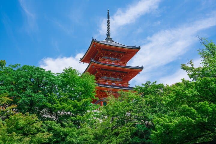 Kyoto Top 7 Sights Private Tour with Licensed Guide and Vehicle — photo 1