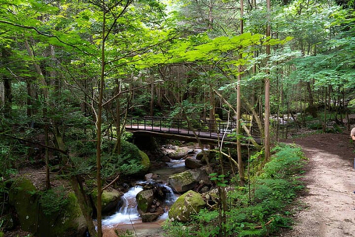 3 Day Japanese Alps Heritage Private Tour from Tokyo — photo 7