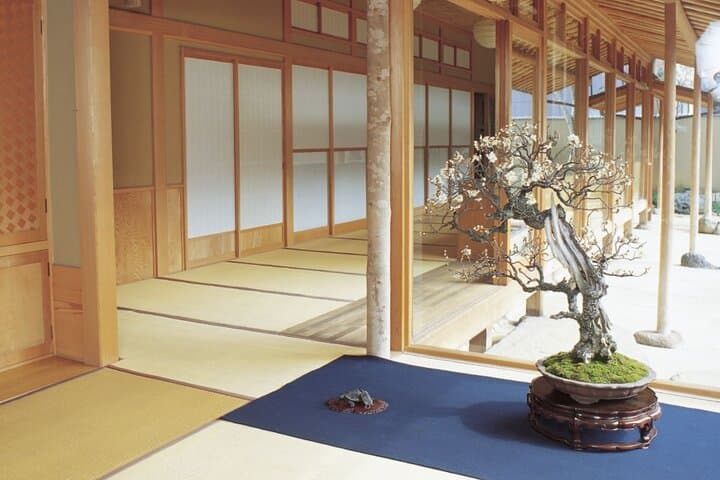 Make Your Own Bonsai with a Professional Bonsai Artist in Tokyo — photo 18
