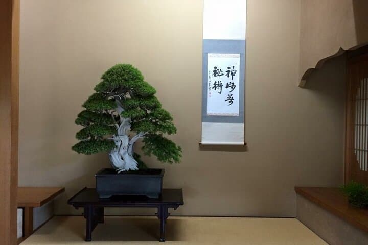 Make Your Own Bonsai with a Professional Bonsai Artist in Tokyo — photo 16
