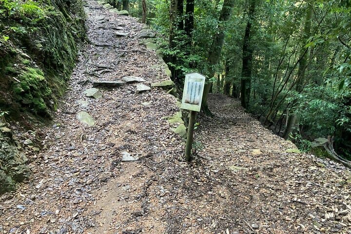 Walking In The History and Nature of Uji Kyoto — photo 10