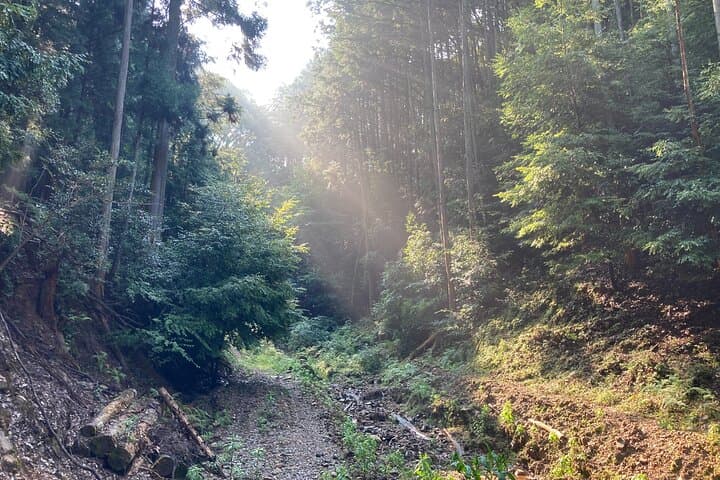 Walking In The History and Nature of Uji Kyoto — photo 14