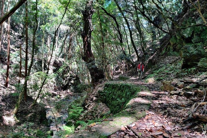 Walking In The History and Nature of Uji Kyoto — photo 17