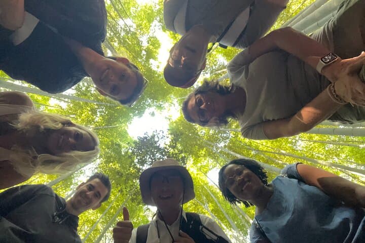West Kyoto & Arashiyama: In-Depth 1-Day Cultural Tour — photo 2
