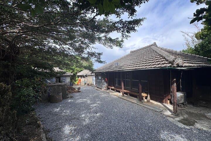 Near Churaumi Aquarium | Longevity Secrets × Food & Culture — photo 7