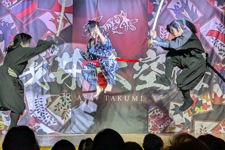 Night town and Cherry Light-up tour and Modern Samurai show — photo 6