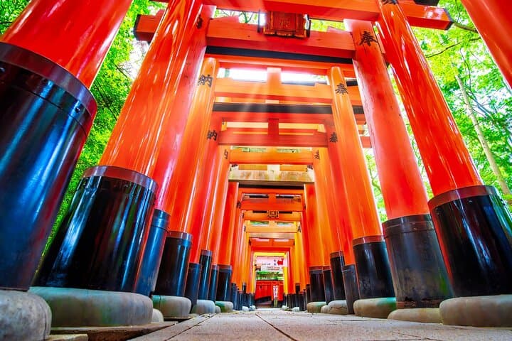 Kyoto Highlights Private Tour with Local driver (guide option) — photo 11