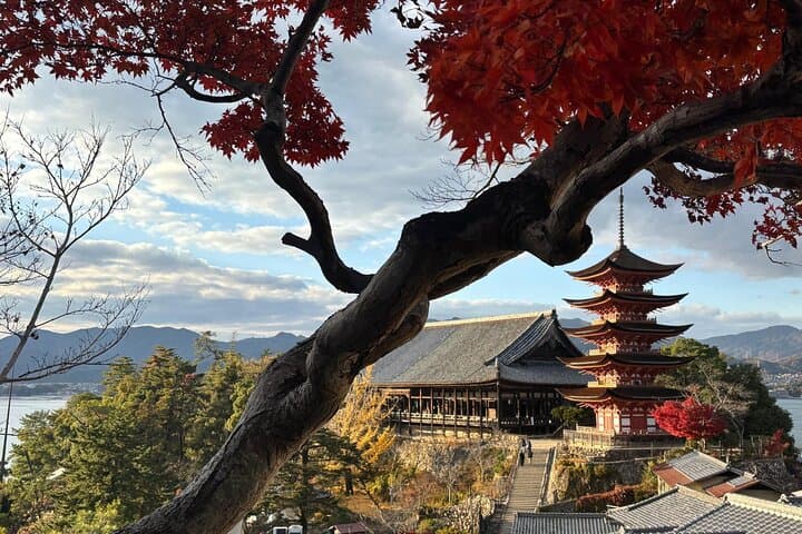 Private Walk to Hidden Miyajima — photo 4