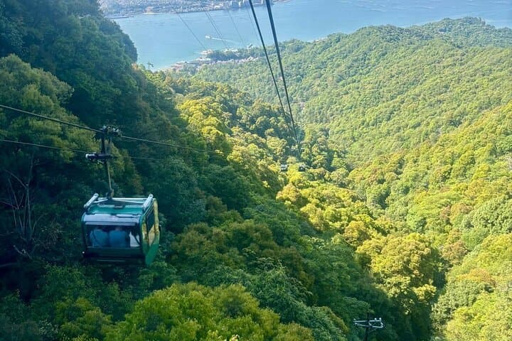 Private Walk to Hidden Miyajima — photo 5