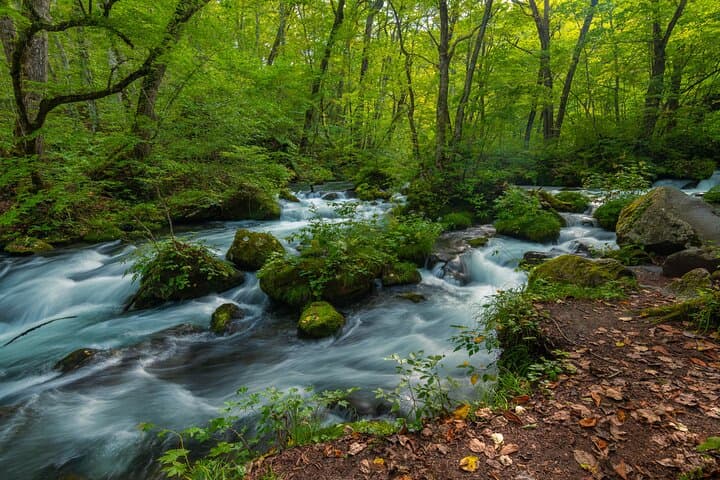 Full Day Aomori Private Tour: Oirase Gorge & Hakkoda Mountains