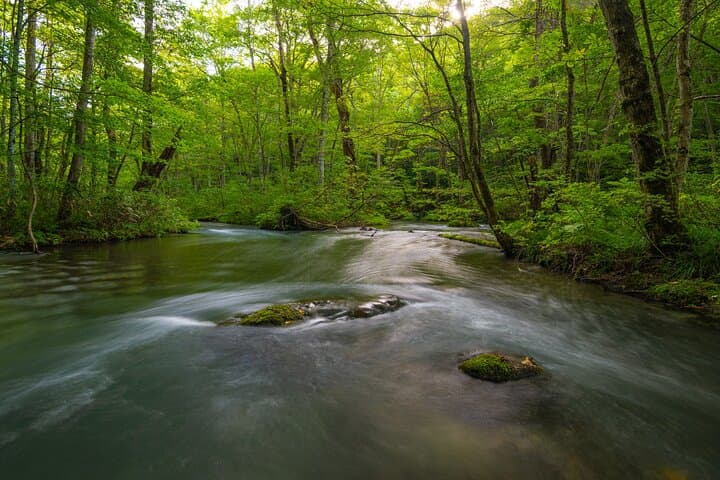 Full Day Aomori Private Tour: Oirase Gorge & Hakkoda Mountains — photo 6