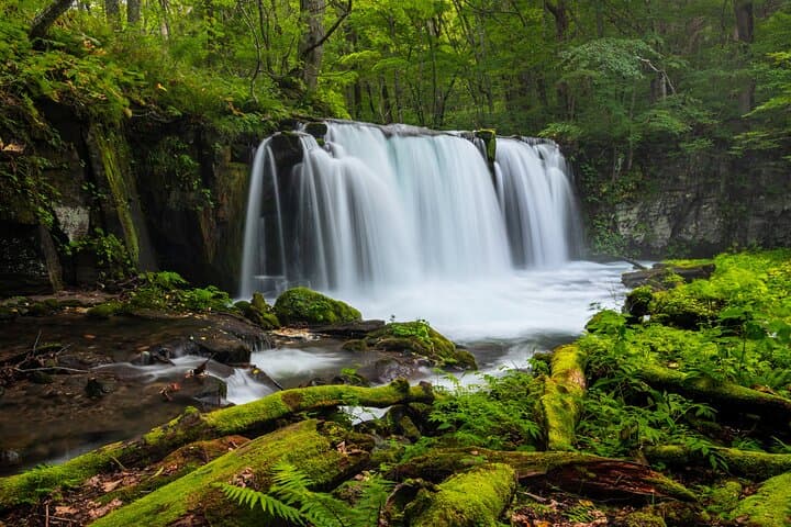 Full Day Aomori Private Tour: Oirase Gorge & Hakkoda Mountains — photo 4