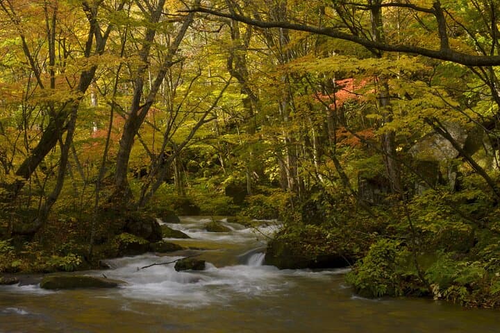 Full Day Aomori Private Tour: Oirase Gorge & Hakkoda Mountains — photo 5