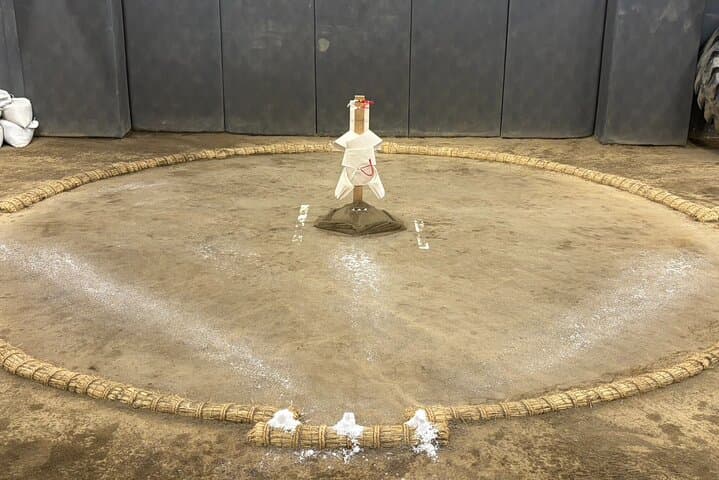 Tokyo: Authentic Sumo Morning Practice — photo 11