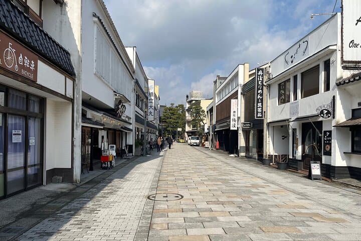 Full-Day Private Guided Tour to Amanohashidate and Ine — photo 7