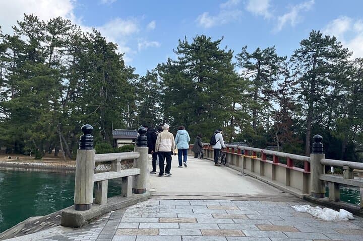 Full-Day Private Guided Tour to Amanohashidate and Ine — photo 8