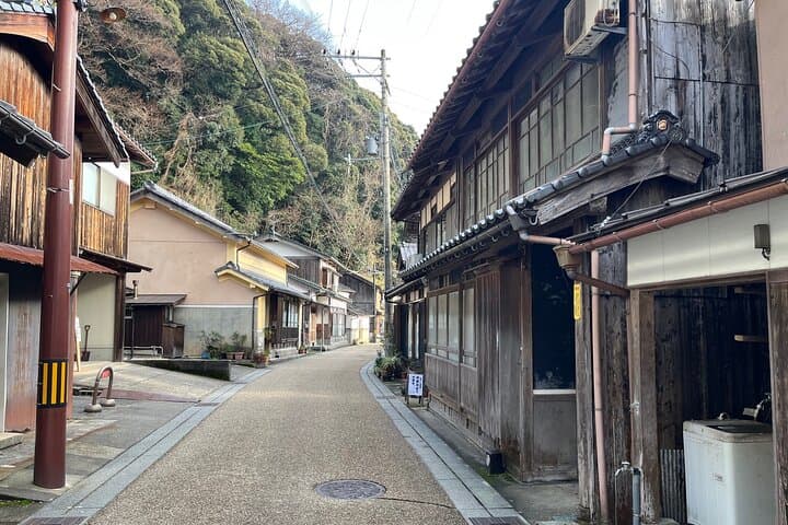 Full-Day Private Guided Tour to Amanohashidate and Ine — photo 12