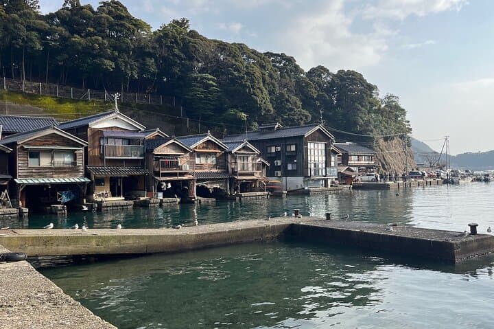 Full-Day Private Guided Tour to Amanohashidate and Ine — photo 13