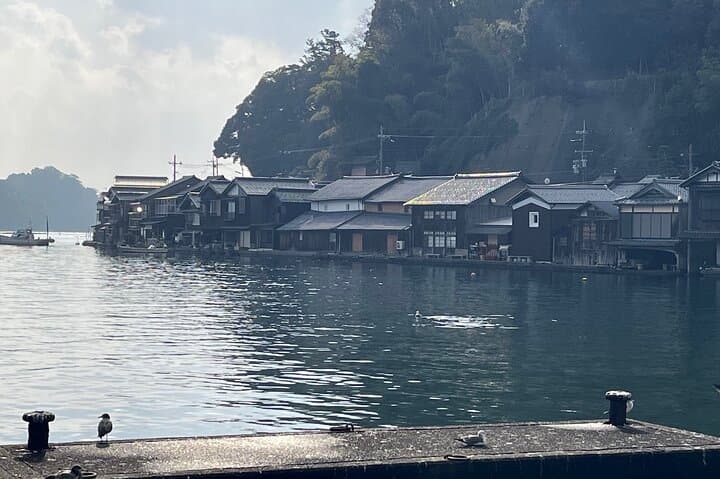 Full-Day Private Guided Tour to Amanohashidate and Ine — photo 14