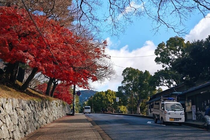 Kyoto and Nara Day Tour Fushimi Inari Kiyomizu dera Nara Park — photo 6