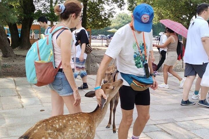 Kyoto and Nara Day Tour Fushimi Inari Kiyomizu dera Nara Park — photo 10
