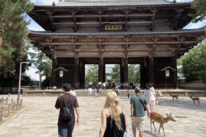 Kyoto and Nara Day Tour Fushimi Inari Kiyomizu dera Nara Park — photo 11