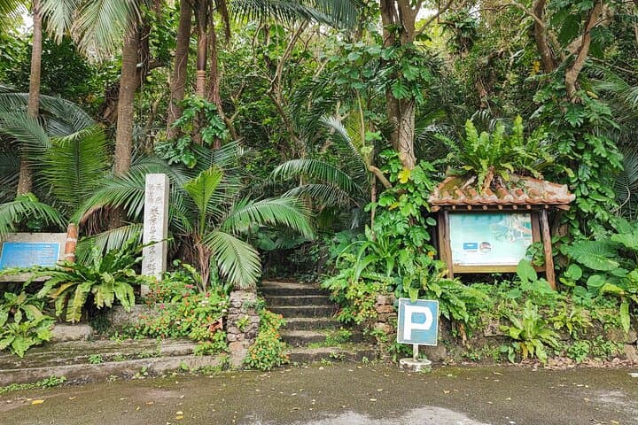 Private Ishigaki Okinawa Shore Excursion — photo 4