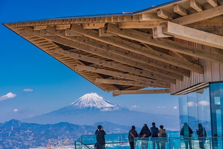Private Sightseeing Tour from Shimizu Port Medium Bus — photo 3