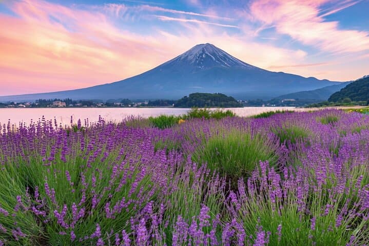 From Tokyo Mt Fuji and Kawaguchi and Oshino Hakkai Bus Tour — photo 4
