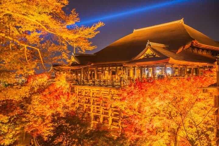 Private Guided 10 Hour Tour to Kyoto — photo 5
