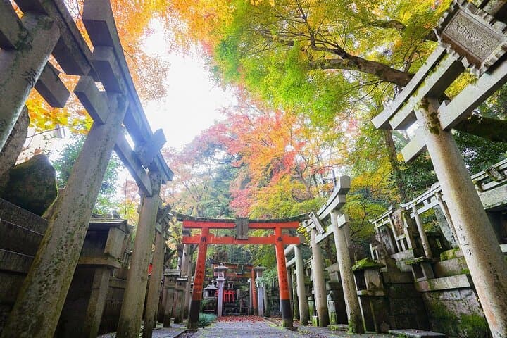 Fushimi Inari Hidden Waterfall Sacred Takigyo Ritual Experience — photo 3