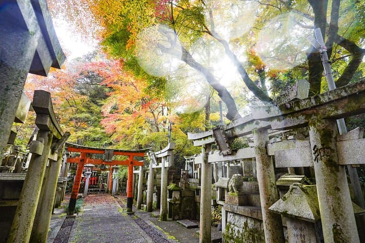 Fushimi Inari Hidden Waterfall Sacred Takigyo Ritual Experience — photo 13