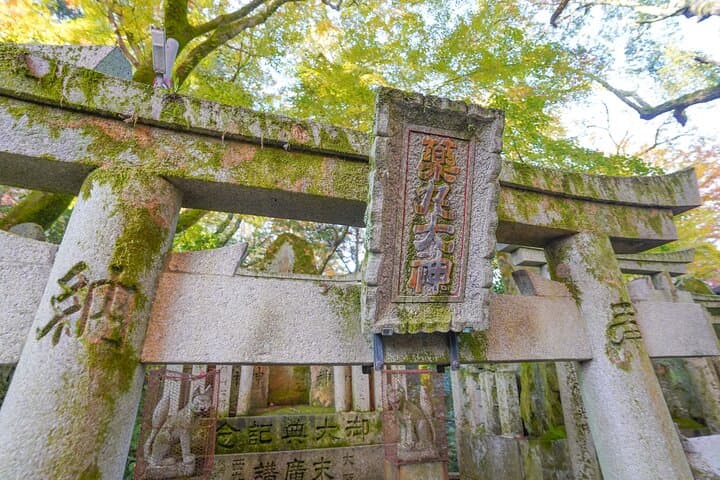 Fushimi Inari Hidden Waterfall Sacred Takigyo Ritual Experience — photo 14