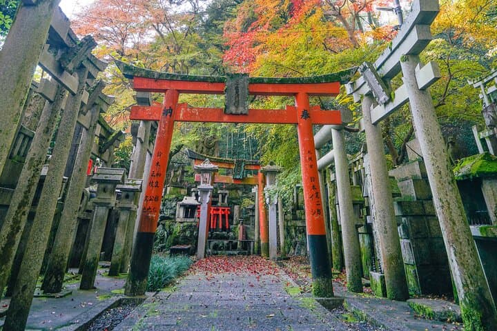 Fushimi Inari Hidden Waterfall Sacred Takigyo Ritual Experience — photo 19