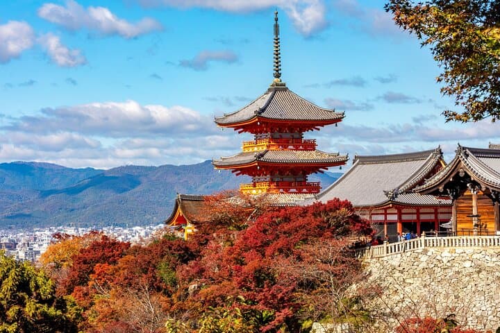 Kyoto Half Day Small Group Tour — photo 1