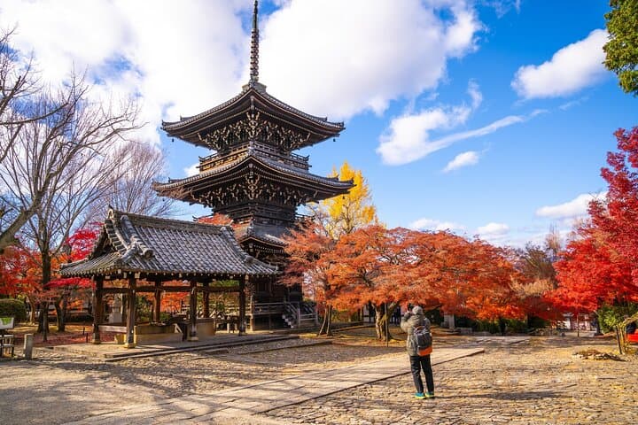 Kyoto Half Day Small Group Tour — photo 4