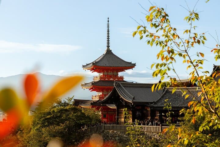 Best of Kyoto Half Day Small Group Tour from Osaka — photo 3
