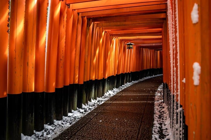 Best of Kyoto Half Day Small Group Tour from Osaka — photo 4