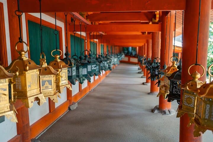 Nara Half Day Small Group Tour from Kyoto — photo 2