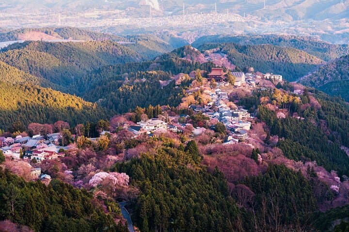 Nara Half Day Small Group Tour from Kyoto — photo 6