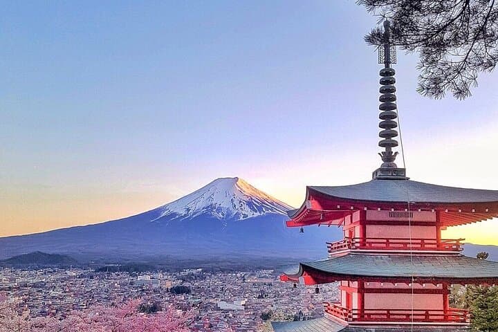 Mount Fuji Full-Day Private Tour with Hotel Pickup (Customizable) — photo 1