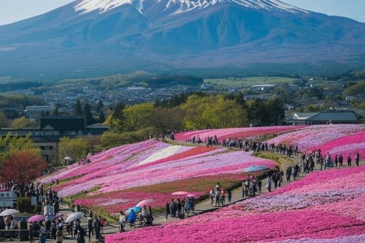 Mount Fuji Full-Day Private Tour with Hotel Pickup (Customizable) — photo 3