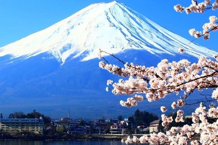 Mount Fuji Full-Day Private Tour with Hotel Pickup (Customizable) — photo 5