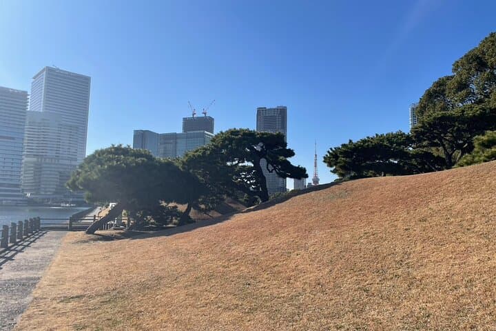 Hamarikyu Gardens and Ginza Park Tour — photo 5