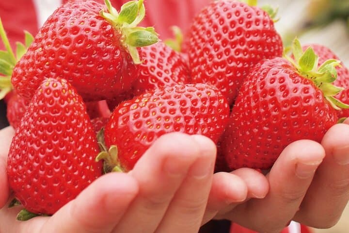 Kawagoe Strawberry Picking and Sweets Walking Tour from Tokyo — photo 3